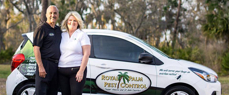 Royal Palm Pest Control - Palm Coast, Florida
