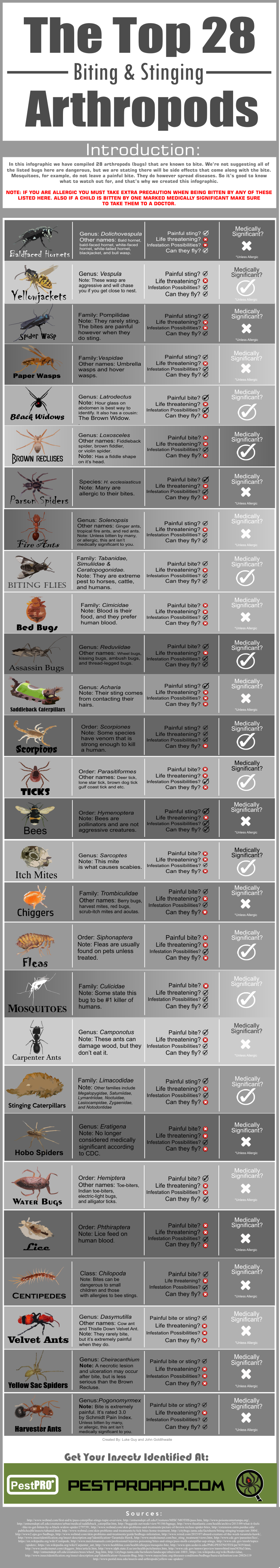 Top 28 Stinging Arthropods