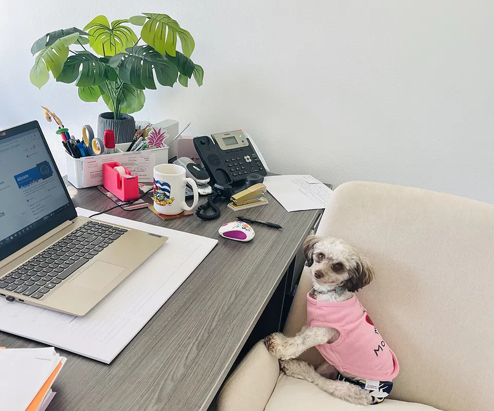 Royal Palm Customer Support.